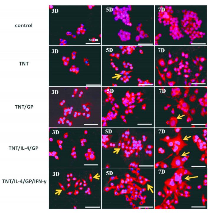 https://cdn.ncbi.nlm.nih.gov/pmc/blobs/d72a/10217943/043b63d957ae/gels-09-00423-g010.jpg