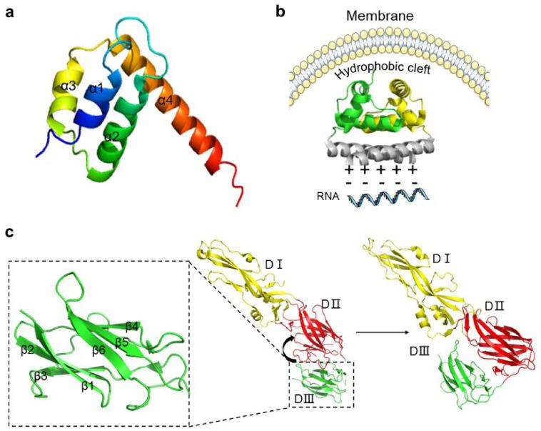 https://cdn.ncbi.nlm.nih.gov/pmc/blobs/d72b/8303334/19f609734017/life-11-00615-g002.jpg