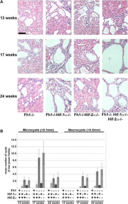 https://cdn.ncbi.nlm.nih.gov/pmc/blobs/d72c/3202623/69af3f00808e/gr2.jpg
