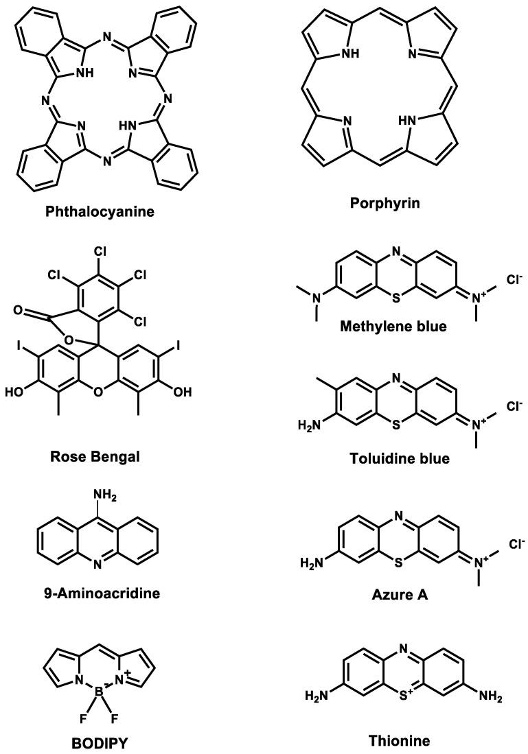 https://cdn.ncbi.nlm.nih.gov/pmc/blobs/d72e/11356738/742fee171adb/microorganisms-12-01573-g002.jpg
