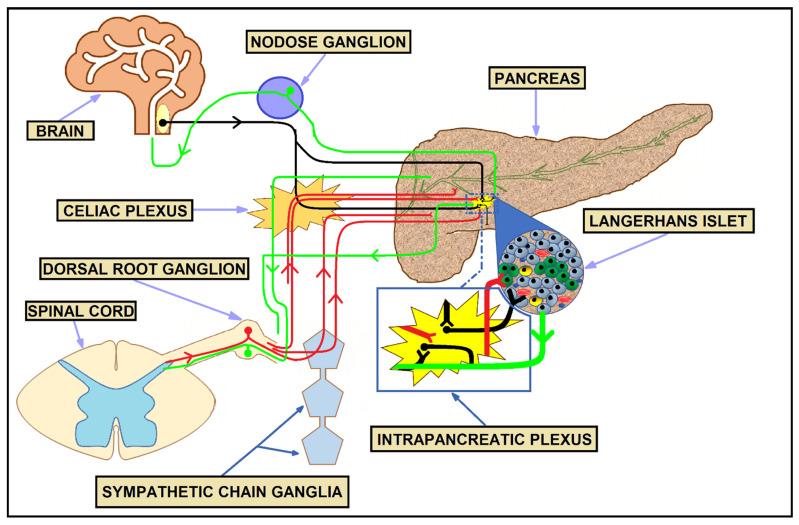 https://cdn.ncbi.nlm.nih.gov/pmc/blobs/d730/9657005/32b2c48d4536/cancers-14-05246-g001.jpg