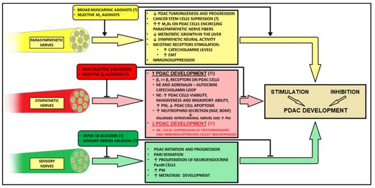 https://cdn.ncbi.nlm.nih.gov/pmc/blobs/d730/9657005/b5ebe523753f/cancers-14-05246-g002.jpg
