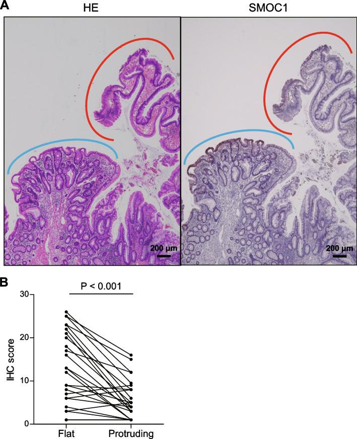 https://cdn.ncbi.nlm.nih.gov/pmc/blobs/d731/10905814/57a488a6f5df/12876_2024_3175_Fig3_HTML.jpg