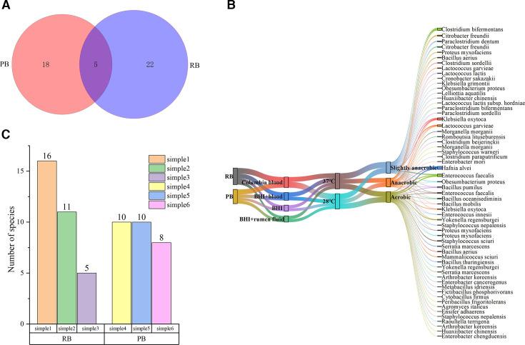 https://cdn.ncbi.nlm.nih.gov/pmc/blobs/d732/12090805/1a060de45998/msystems.01463-24.f008.jpg