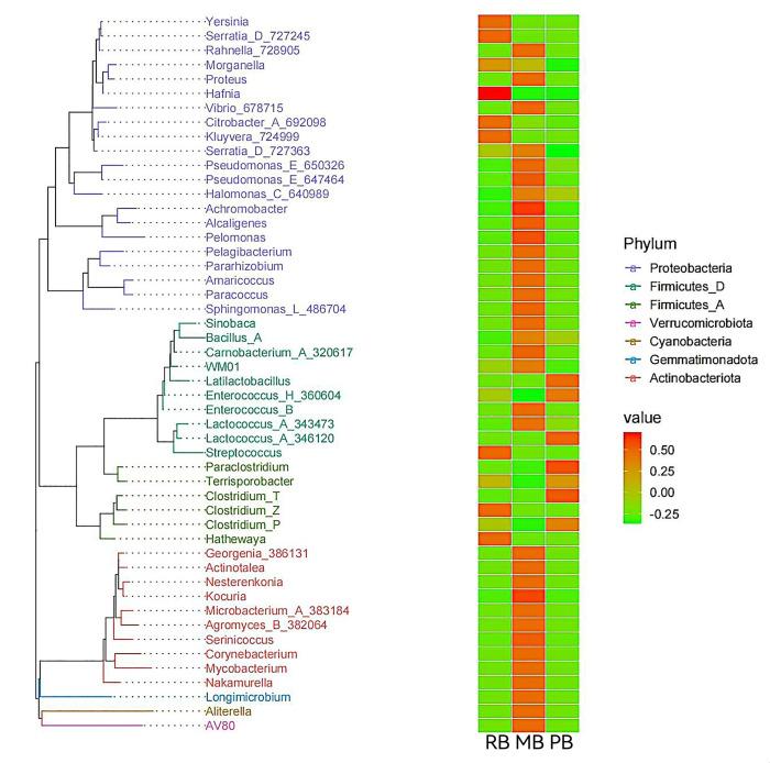 https://cdn.ncbi.nlm.nih.gov/pmc/blobs/d732/12090805/2fa593550f77/msystems.01463-24.f005.jpg