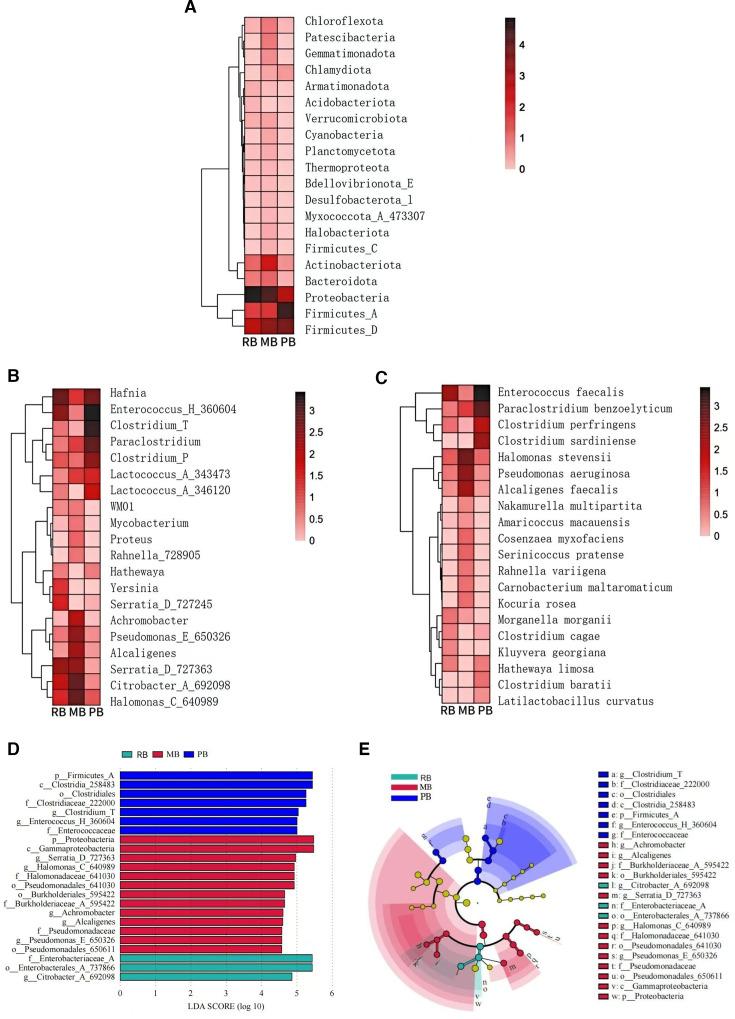 https://cdn.ncbi.nlm.nih.gov/pmc/blobs/d732/12090805/e951179af51c/msystems.01463-24.f002.jpg