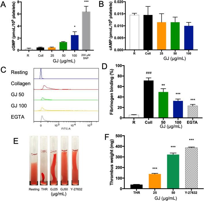 https://cdn.ncbi.nlm.nih.gov/pmc/blobs/d732/12240943/729f6e041479/fphar-16-1538417-g004.jpg