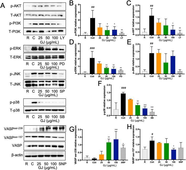 https://cdn.ncbi.nlm.nih.gov/pmc/blobs/d732/12240943/dd862444125e/fphar-16-1538417-g005.jpg