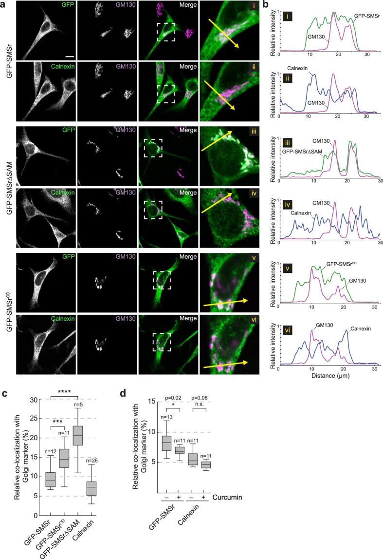 https://cdn.ncbi.nlm.nih.gov/pmc/blobs/d732/5264588/613181862903/srep41290-f8.jpg