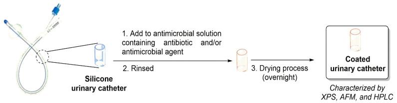 https://cdn.ncbi.nlm.nih.gov/pmc/blobs/d732/9785902/bc3d4b9519fb/microorganisms-10-02484-g005.jpg