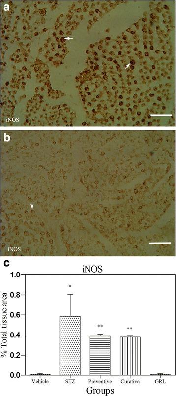 https://cdn.ncbi.nlm.nih.gov/pmc/blobs/d73f/5625610/8956a4d32767/12906_2017_1983_Fig6_HTML.jpg