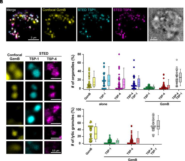 https://cdn.ncbi.nlm.nih.gov/pmc/blobs/d744/11831147/8d9f1068e74b/pnas.2413866122fig03.jpg