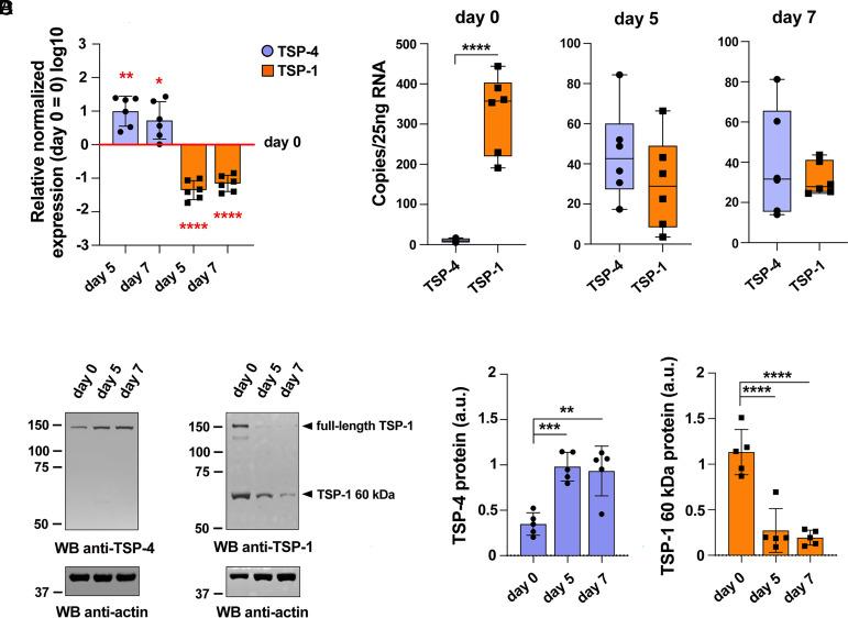 https://cdn.ncbi.nlm.nih.gov/pmc/blobs/d744/11831147/9358c99e3891/pnas.2413866122fig01.jpg