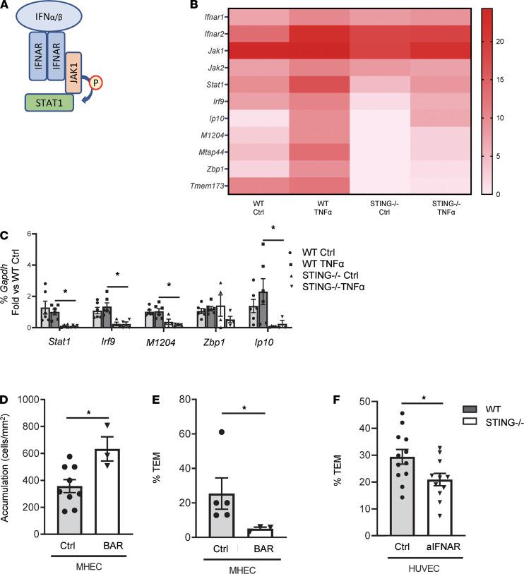 https://cdn.ncbi.nlm.nih.gov/pmc/blobs/d744/8410041/42338abfa200/jciinsight-6-149346-g270.jpg
