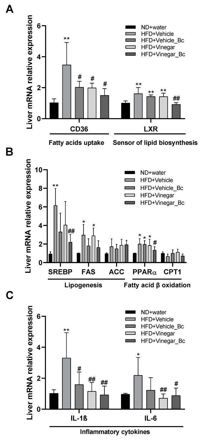 https://cdn.ncbi.nlm.nih.gov/pmc/blobs/d745/7551919/6a9615907c8d/nutrients-12-02504-g006.jpg