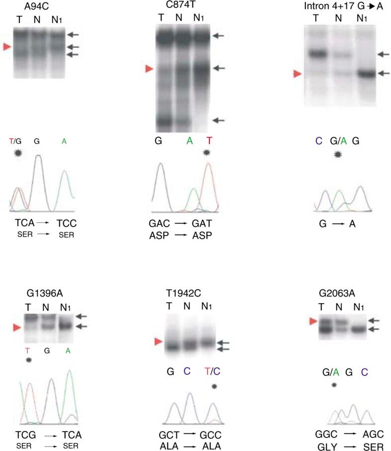 https://cdn.ncbi.nlm.nih.gov/pmc/blobs/d74a/3215949/8caa6a188498/90-6601589f3.jpg