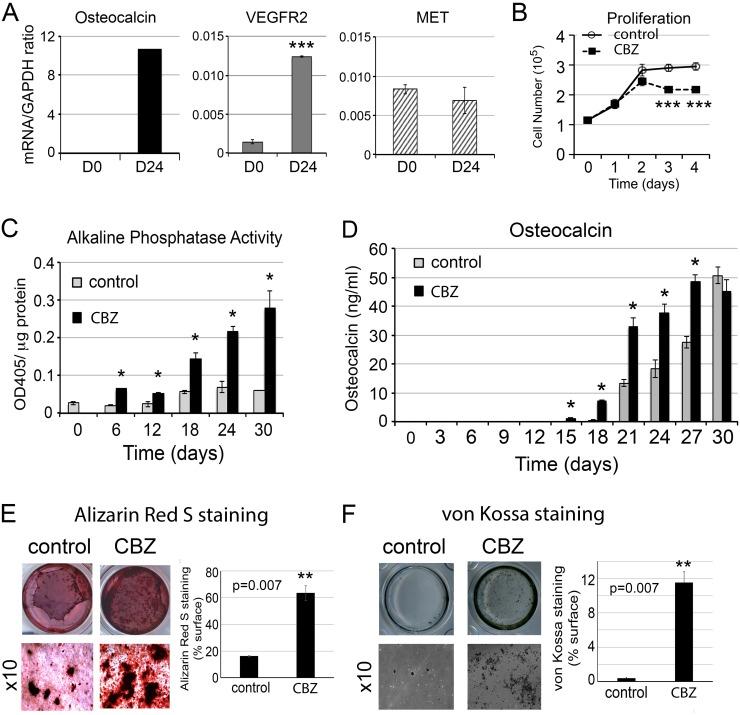 https://cdn.ncbi.nlm.nih.gov/pmc/blobs/d74a/5650395/3f223338952b/oncotarget-08-74987-g001.jpg