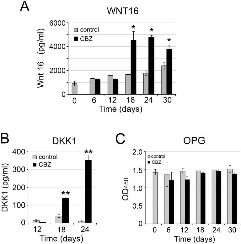 https://cdn.ncbi.nlm.nih.gov/pmc/blobs/d74a/5650395/51da84cd92cd/oncotarget-08-74987-g006.jpg