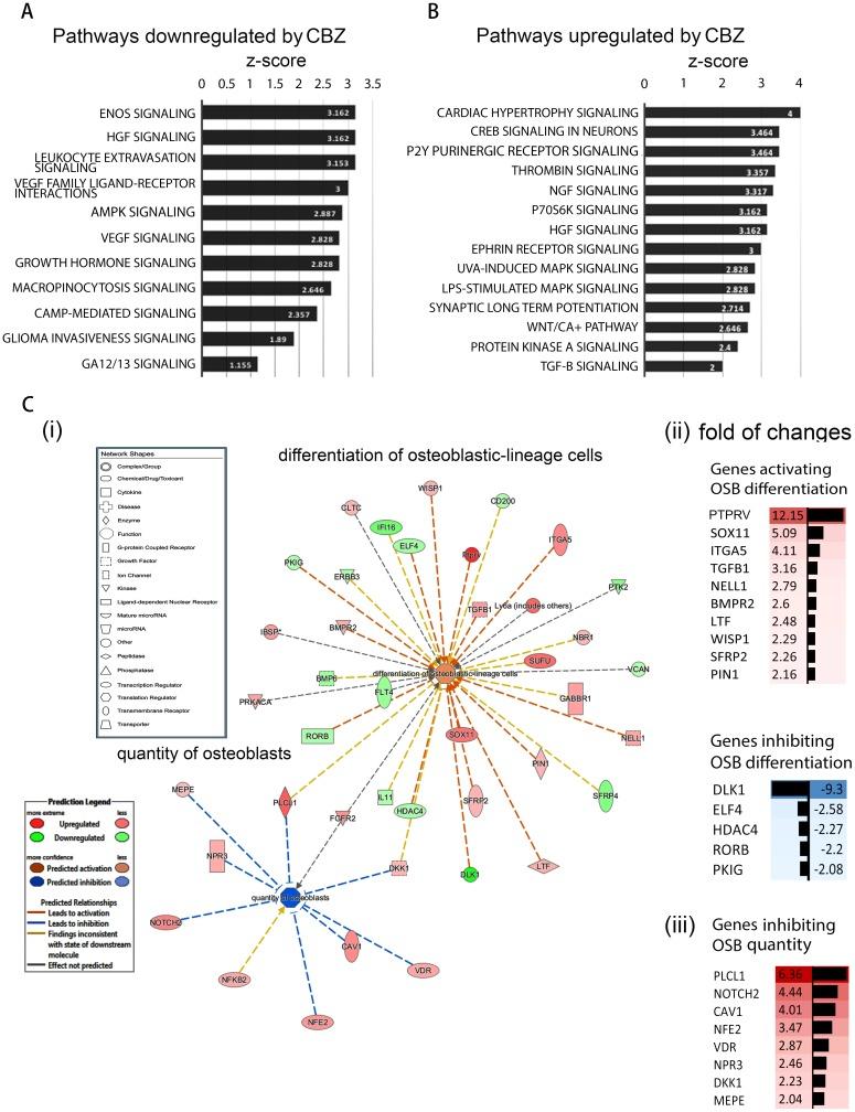 https://cdn.ncbi.nlm.nih.gov/pmc/blobs/d74a/5650395/d1754aedd338/oncotarget-08-74987-g002.jpg