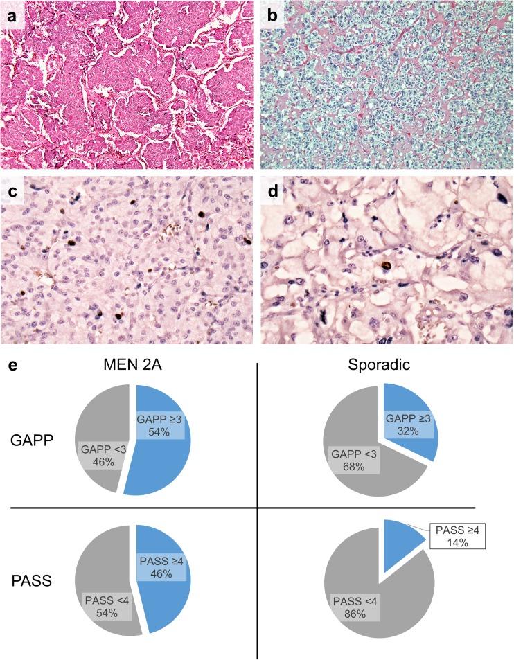 https://cdn.ncbi.nlm.nih.gov/pmc/blobs/d74a/6153590/d85180938c2f/423_2018_1679_Fig1_HTML.jpg