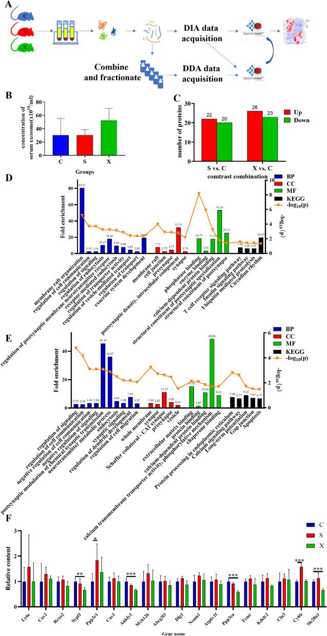 https://cdn.ncbi.nlm.nih.gov/pmc/blobs/d74a/9926547/c96625c7f929/12964_2022_1011_Fig5_HTML.jpg