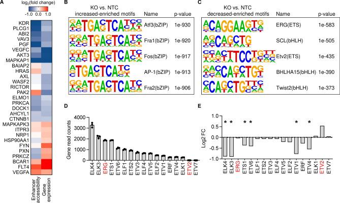https://cdn.ncbi.nlm.nih.gov/pmc/blobs/d74b/9879848/5eec8abc1e42/395_2023_978_Fig4_HTML.jpg