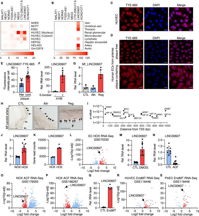 https://cdn.ncbi.nlm.nih.gov/pmc/blobs/d74b/9879848/939dc91ea574/395_2023_978_Fig1_HTML.jpg