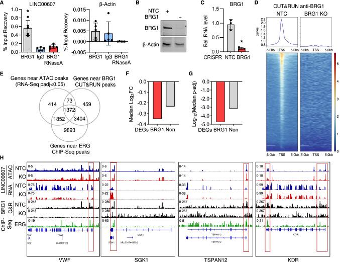 https://cdn.ncbi.nlm.nih.gov/pmc/blobs/d74b/9879848/b4cc32b59035/395_2023_978_Fig5_HTML.jpg