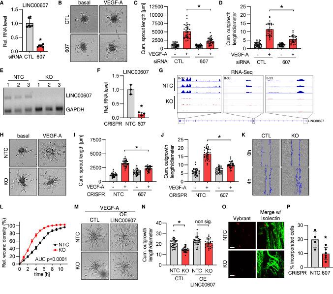 https://cdn.ncbi.nlm.nih.gov/pmc/blobs/d74b/9879848/d547e091893a/395_2023_978_Fig2_HTML.jpg