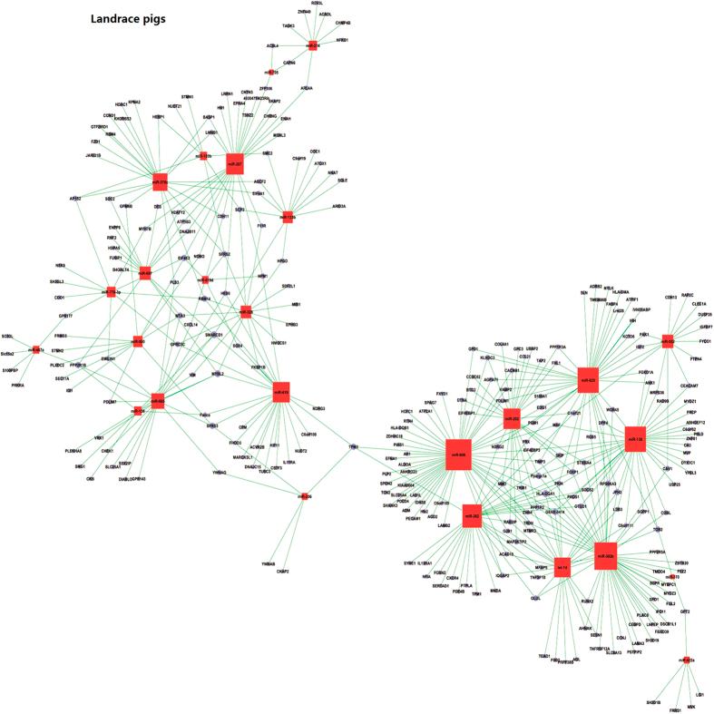 https://cdn.ncbi.nlm.nih.gov/pmc/blobs/d74e/4620456/d81a78eb89ef/srep15544-f5.jpg