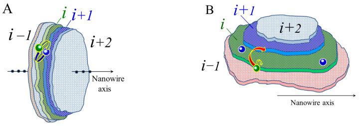 https://cdn.ncbi.nlm.nih.gov/pmc/blobs/d74e/9099773/bf0c9cd365b2/nanomaterials-12-01411-g003.jpg