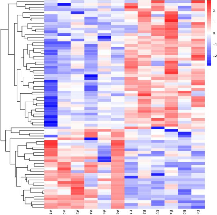 https://cdn.ncbi.nlm.nih.gov/pmc/blobs/d750/11178892/5b17138fb1d1/41598_2024_64162_Fig2_HTML.jpg