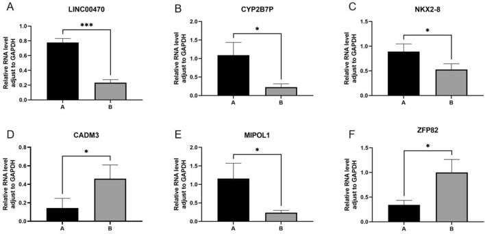 https://cdn.ncbi.nlm.nih.gov/pmc/blobs/d750/11178892/68f75bf29614/41598_2024_64162_Fig10_HTML.jpg