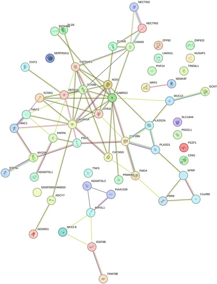 https://cdn.ncbi.nlm.nih.gov/pmc/blobs/d750/11178892/9f4b0311d5ef/41598_2024_64162_Fig5_HTML.jpg