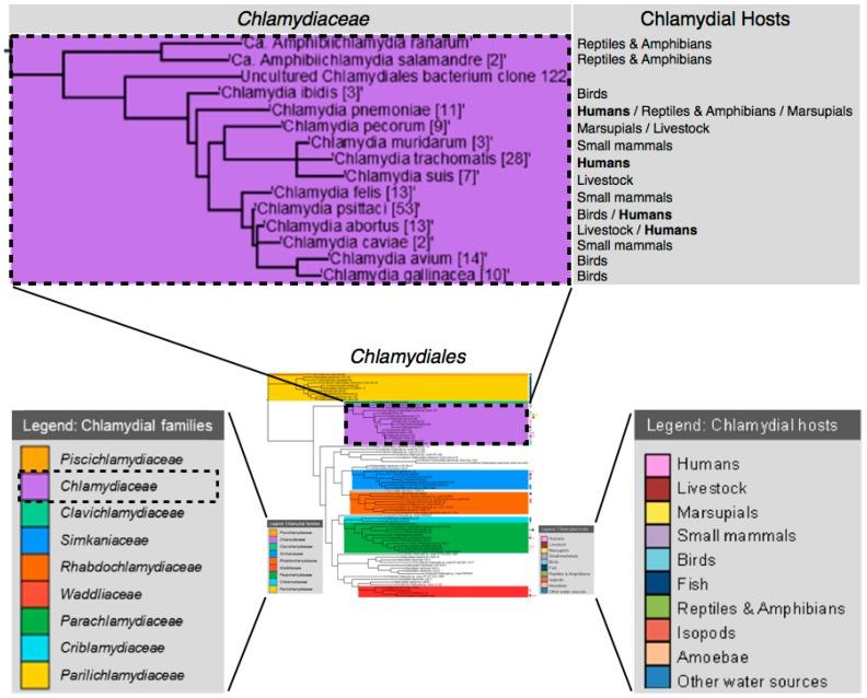 https://cdn.ncbi.nlm.nih.gov/pmc/blobs/d750/5192522/168275e20205/microorganisms-04-00039-g001.jpg