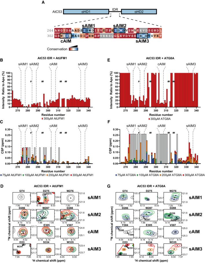 https://cdn.ncbi.nlm.nih.gov/pmc/blobs/d753/10183829/ac0c7ff300bf/EMBJ-42-e112053-g003.jpg