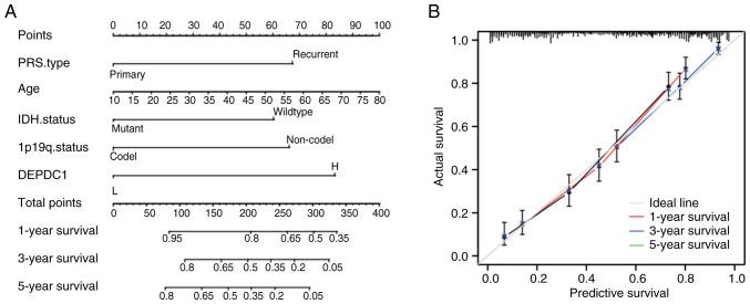https://cdn.ncbi.nlm.nih.gov/pmc/blobs/d753/12005072/9d2554039be3/ol-29-06-15022-g05.jpg