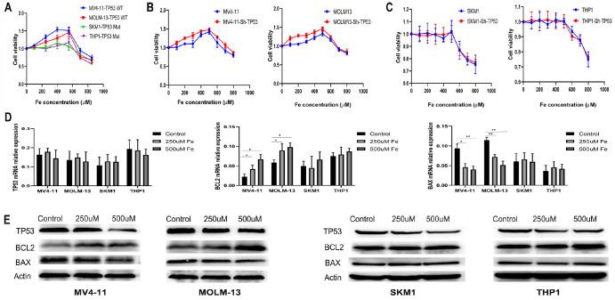 https://cdn.ncbi.nlm.nih.gov/pmc/blobs/d753/12040743/36fe5060bd7c/t3.jpg