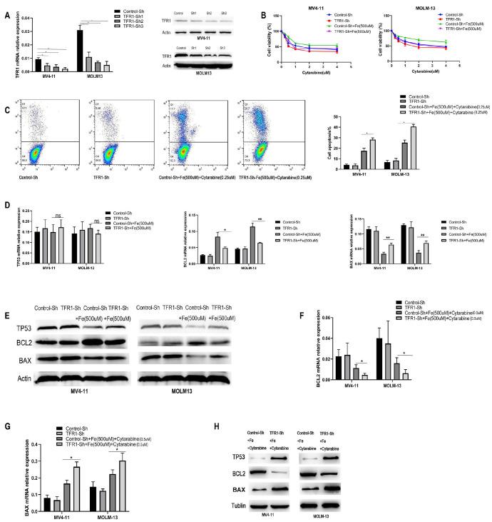 https://cdn.ncbi.nlm.nih.gov/pmc/blobs/d753/12040743/4451833ef5ba/t5.jpg