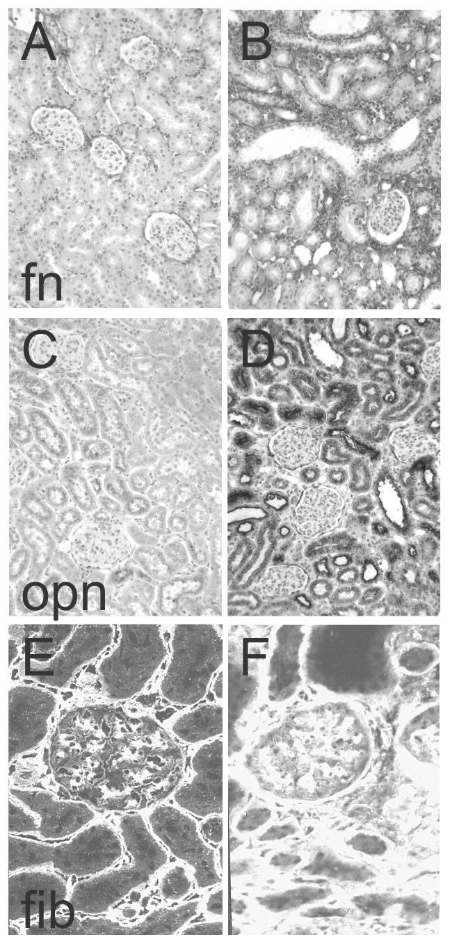 https://cdn.ncbi.nlm.nih.gov/pmc/blobs/d753/3493553/31ac897a367f/pone.0048362.g002.jpg