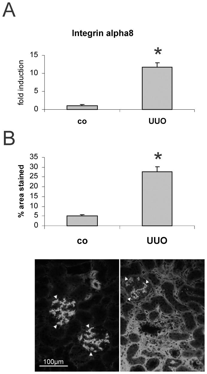 https://cdn.ncbi.nlm.nih.gov/pmc/blobs/d753/3493553/eb5ac92f25aa/pone.0048362.g001.jpg