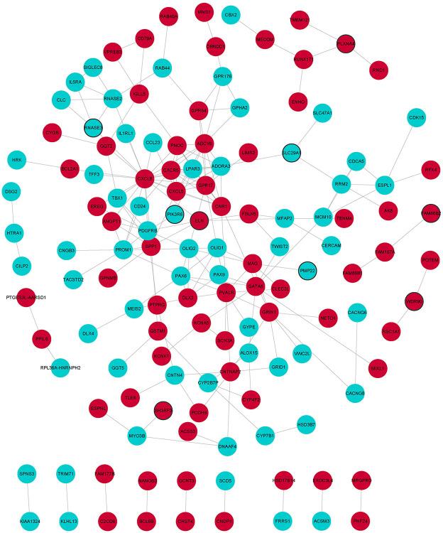 https://cdn.ncbi.nlm.nih.gov/pmc/blobs/d753/9362860/3503cc133b69/fcvm-09-961305-g0003.jpg