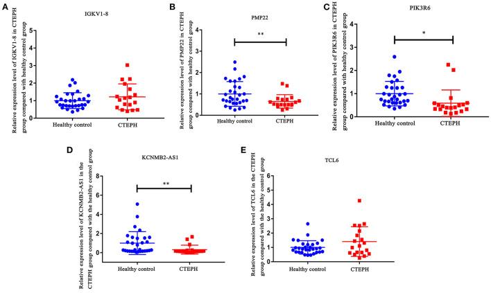 https://cdn.ncbi.nlm.nih.gov/pmc/blobs/d753/9362860/617fdba41758/fcvm-09-961305-g0008.jpg