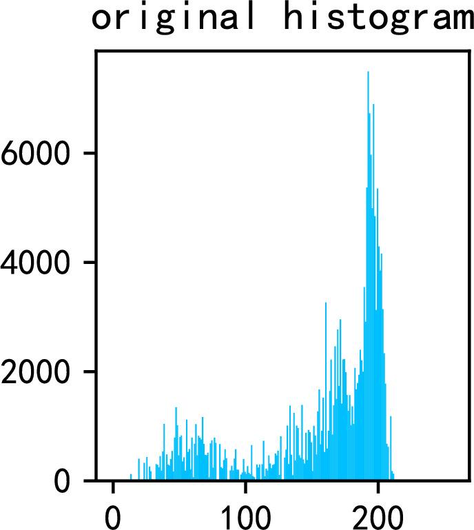 https://cdn.ncbi.nlm.nih.gov/pmc/blobs/d755/12219837/9ea6777f09cb/41598_2025_4968_Fig11_HTML.jpg