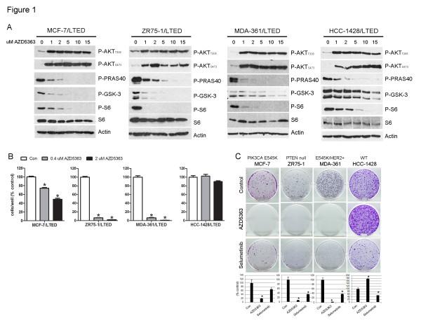 https://cdn.ncbi.nlm.nih.gov/pmc/blobs/d756/3979036/a6bb2e0036a1/bcr3449-1.jpg