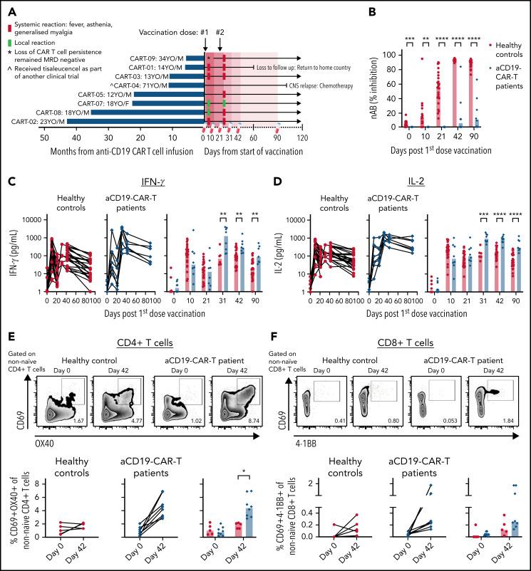 https://cdn.ncbi.nlm.nih.gov/pmc/blobs/d758/9283963/6a5ad2d140b7/bloodBLD2022016166f1.jpg
