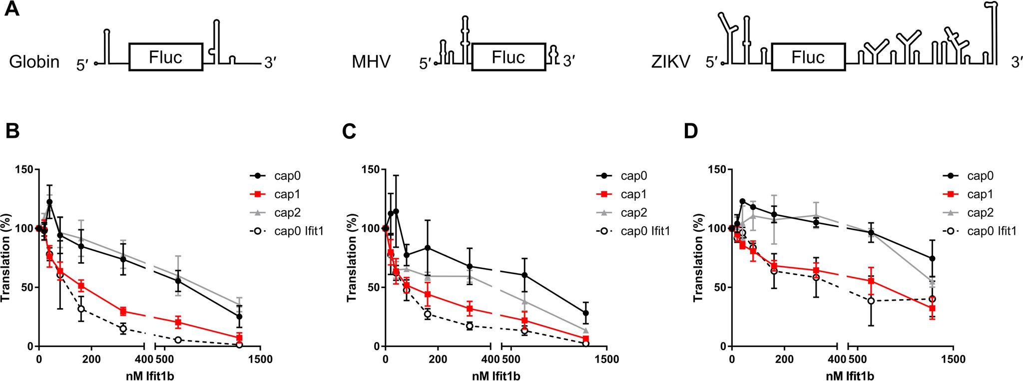 https://cdn.ncbi.nlm.nih.gov/pmc/blobs/d75a/7762956/fdd256e73180/SB-JBCJ200830F003.jpg