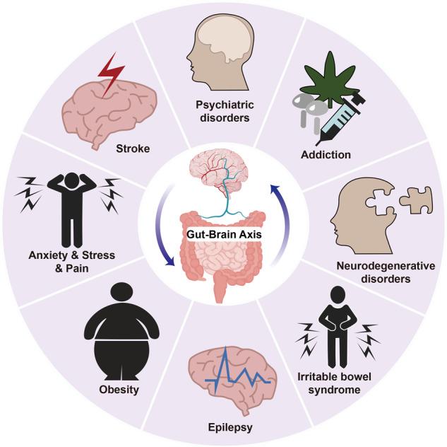 https://cdn.ncbi.nlm.nih.gov/pmc/blobs/d760/10700720/96095e0ca4ed/41392_2023_1673_Fig8_HTML.jpg