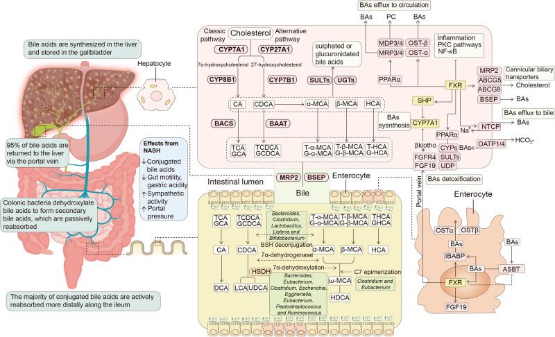 https://cdn.ncbi.nlm.nih.gov/pmc/blobs/d760/10700720/be1b12923b0a/41392_2023_1673_Fig5_HTML.jpg