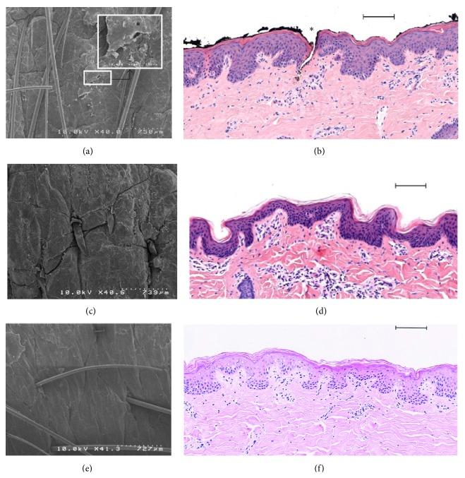 https://cdn.ncbi.nlm.nih.gov/pmc/blobs/d760/4515495/45b81b27325c/BMRI2015-434623.006.jpg